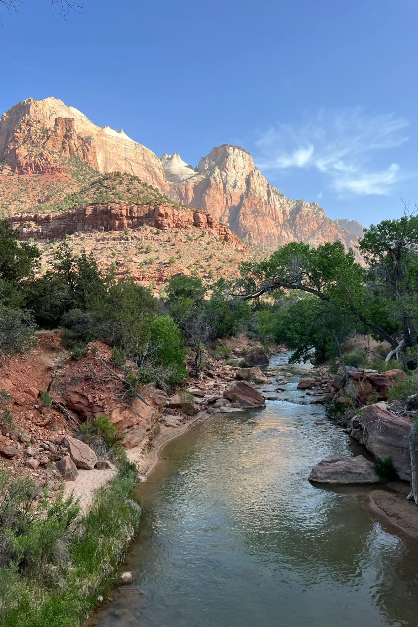The river winding through a green valley in Zion, between red and orange cliffs under a clear blue sky.